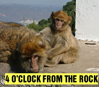 Four o'clock From The Rock