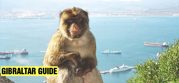 Gibraltar Guide