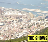 Shows Not To Miss!